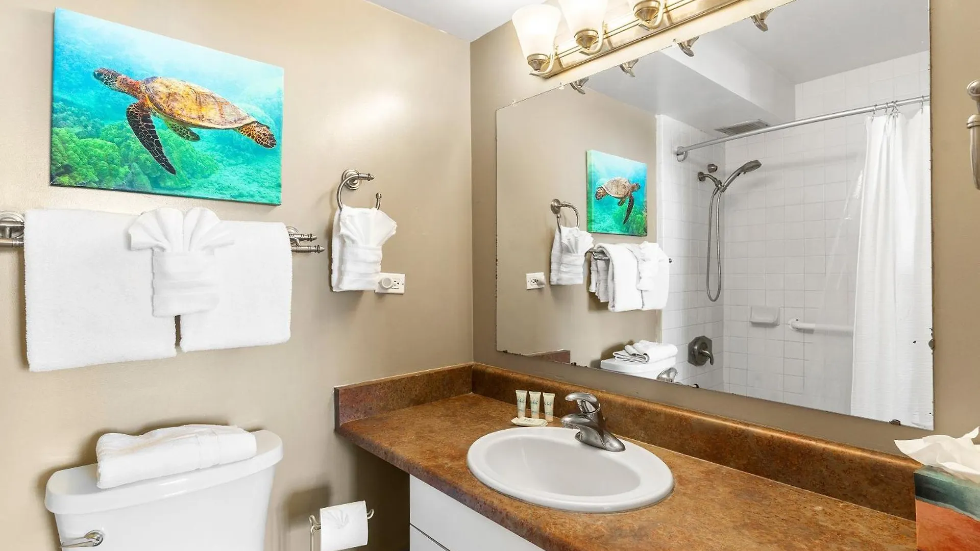 Holiday home Mana Kai 314 Villa Wailea
